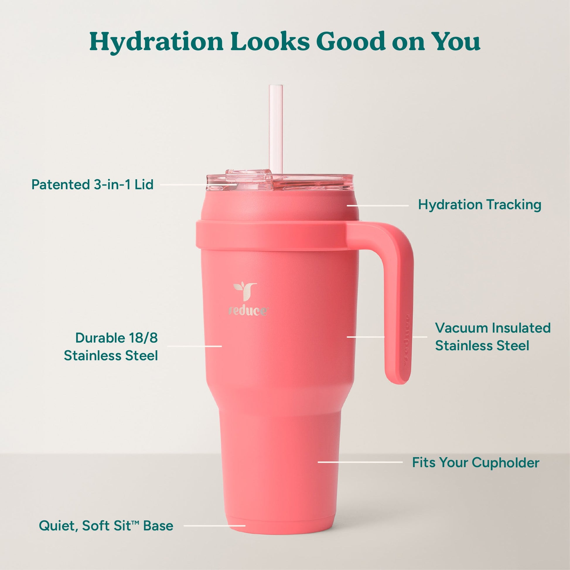 cold1-40-oz-e8 Cold1_40oz_Daiquiri_Infographic_2.jpg