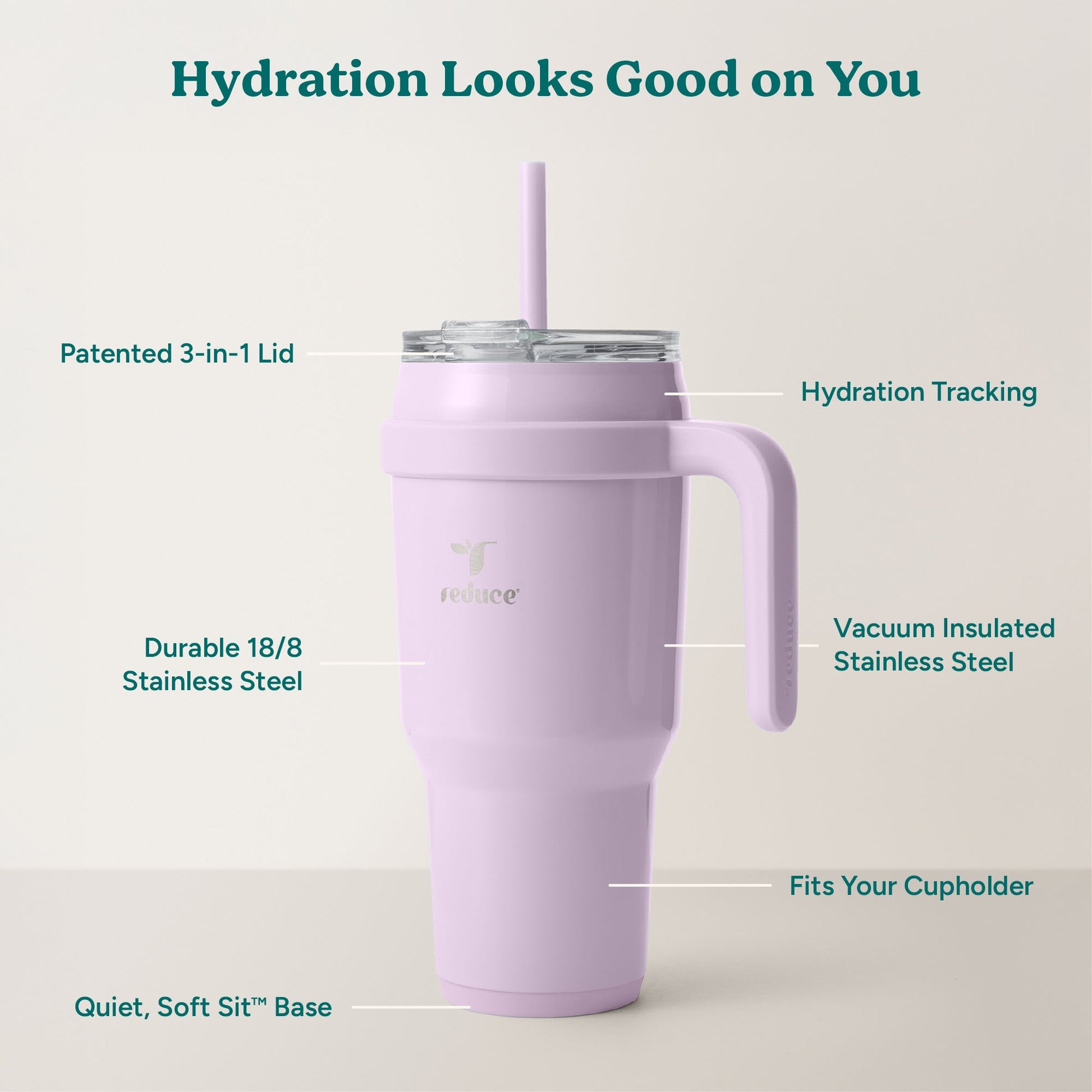 cold1-40-oz-e8 Cold1_40oz_LilacBud_Infographic_2.jpg