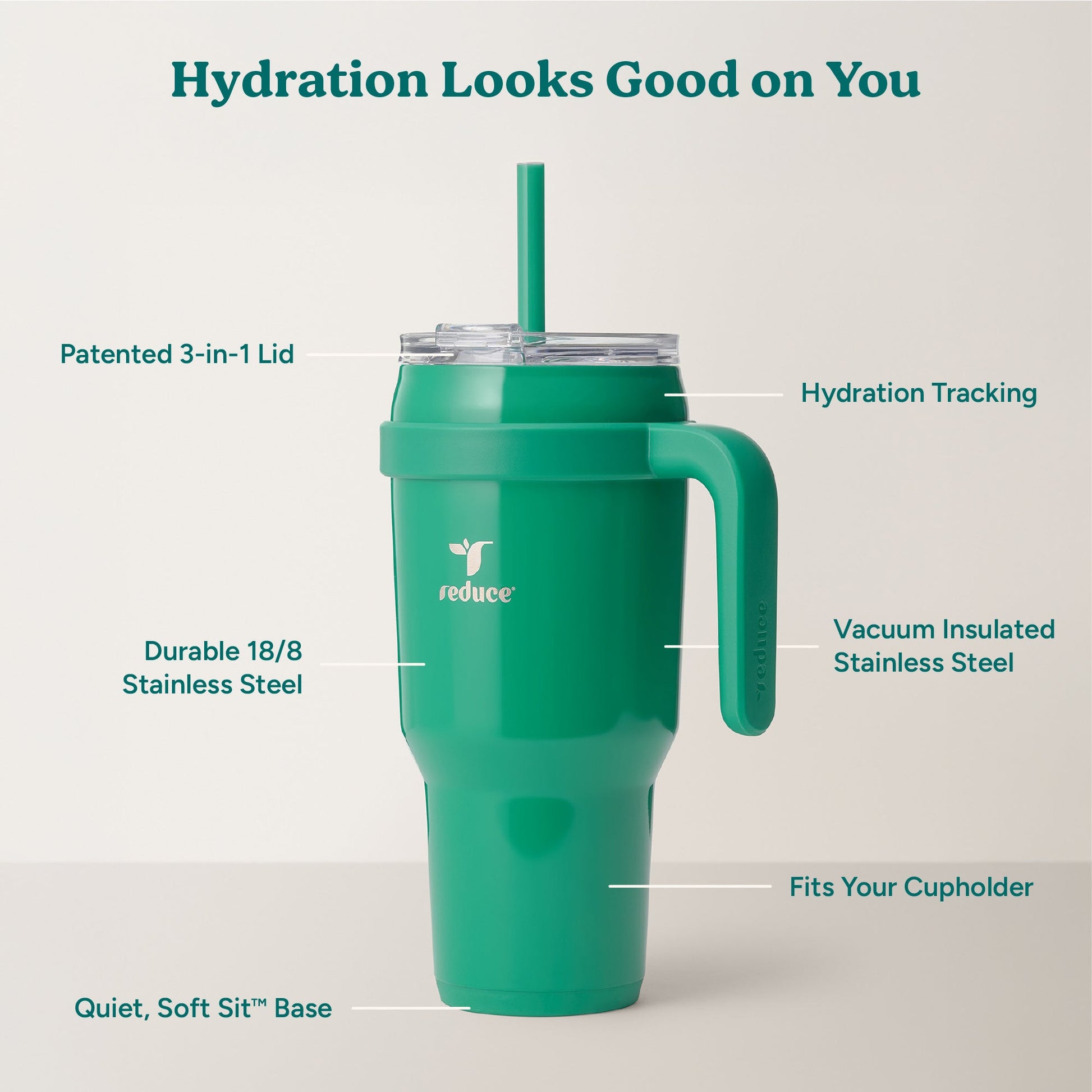 cold1-40-oz-e8 Cold1_40oz_PalmLeaf_Infographic_2.jpg