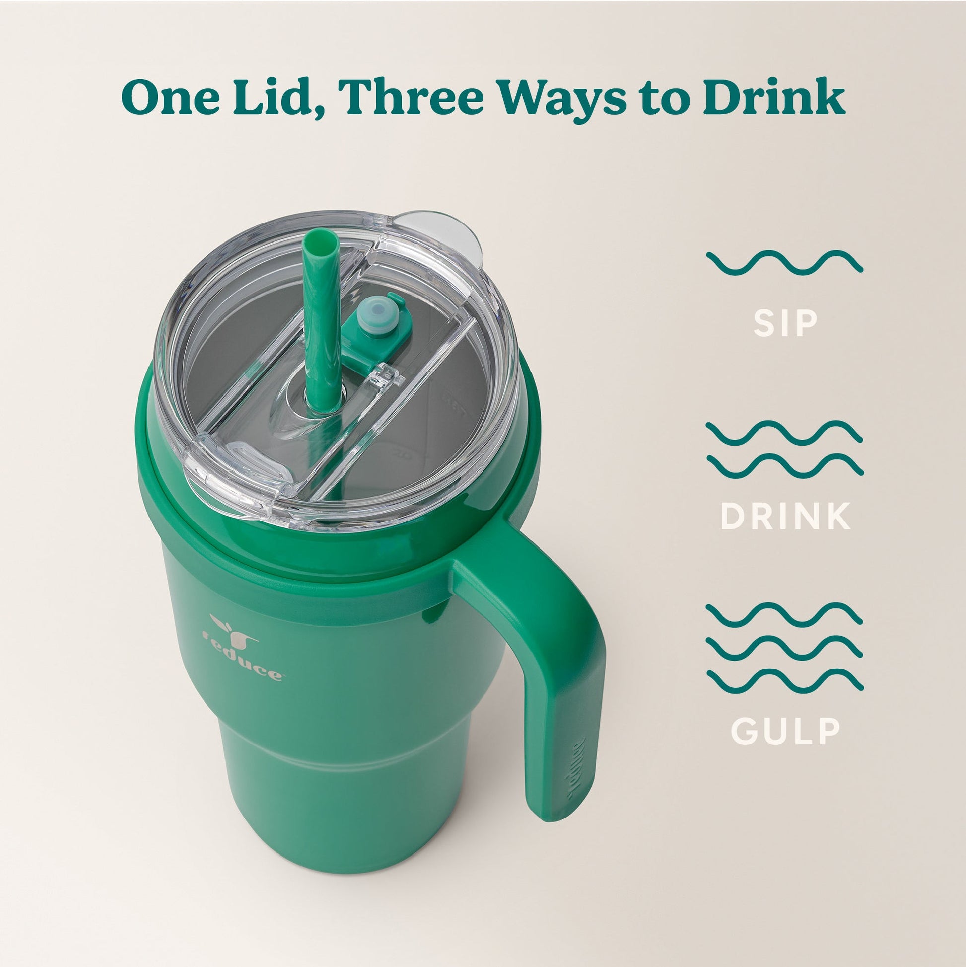 cold1-40-oz-e8 Cold1_40oz_PalmLeaf_Infographic_3.jpg
