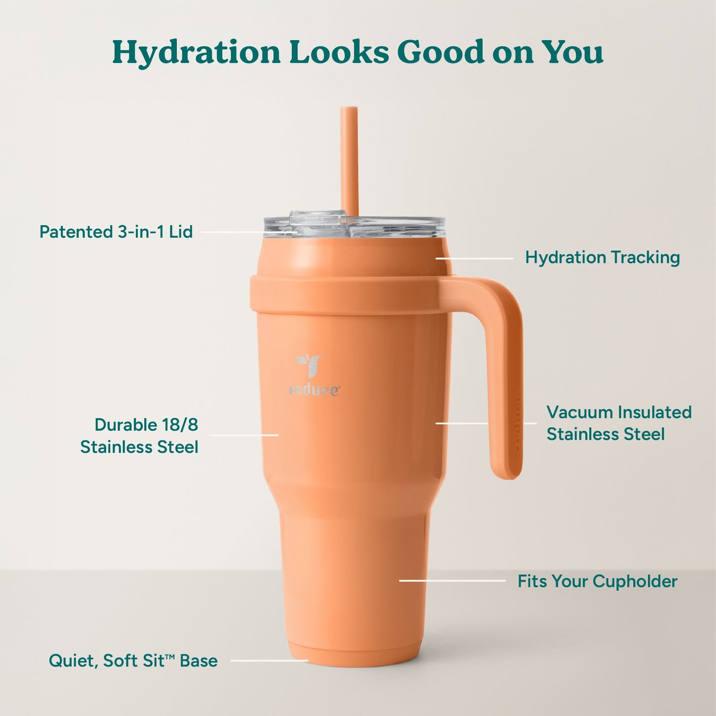 cold1-40-oz-e8 Cold1_40oz_Papaya_Infographic_2.jpg