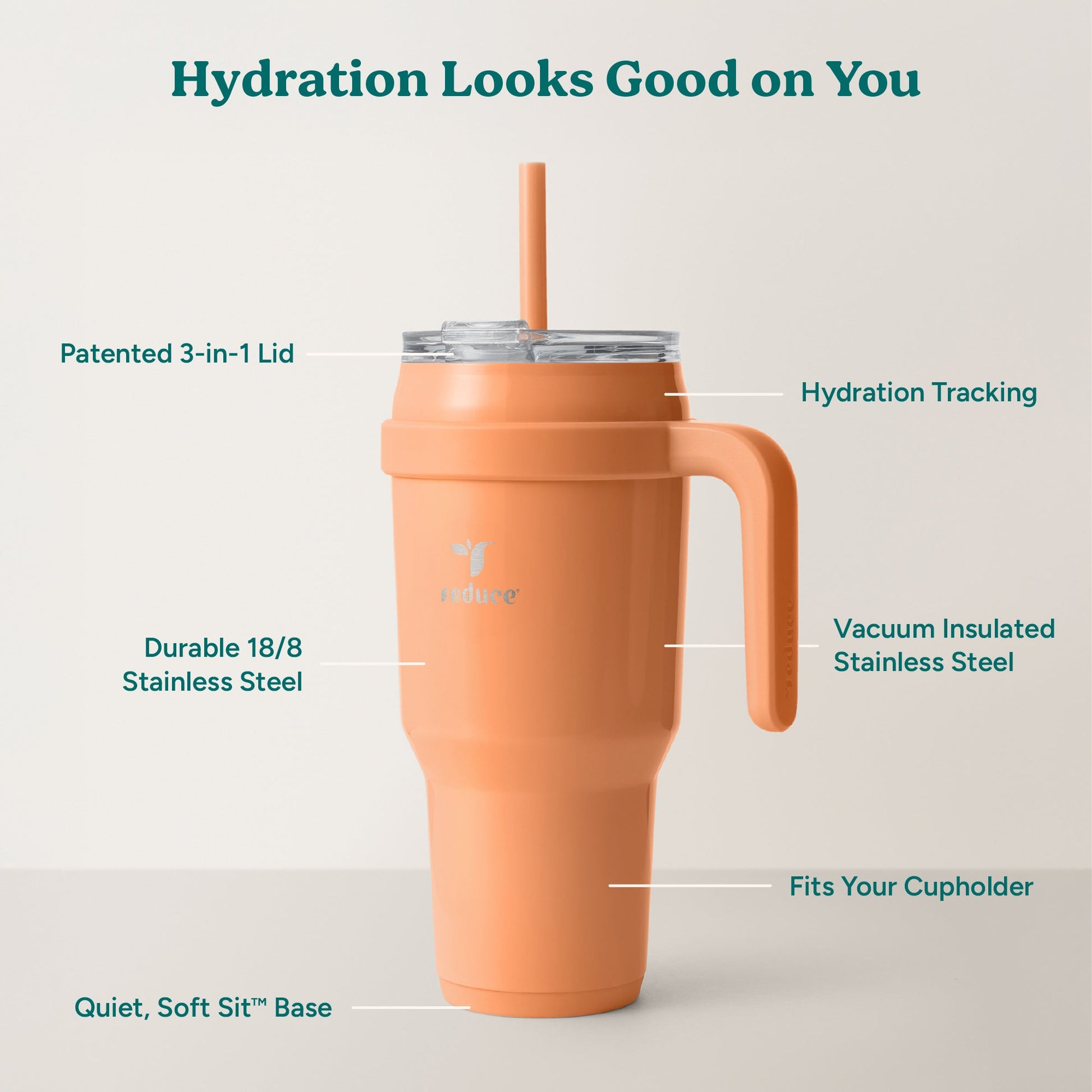 cold1-40-oz-e8 Cold1_40oz_Papaya_Infographic_2.jpg