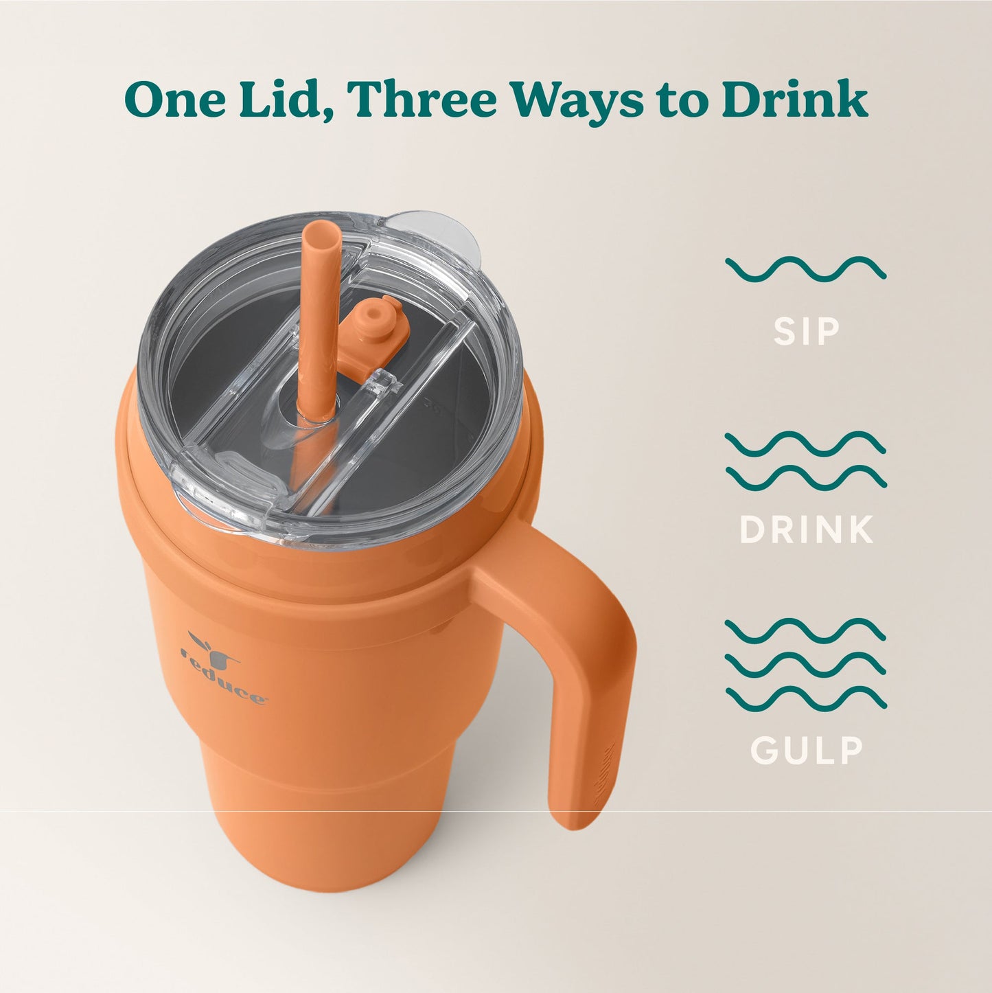 cold1-40-oz-e8 Cold1_40oz_Papaya_Infographic_3.jpg